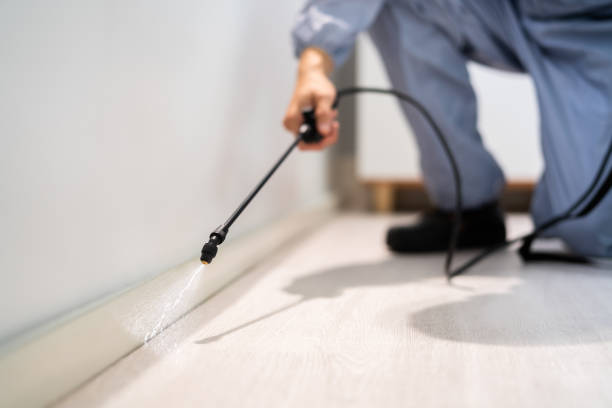 Rodent Entry Point Assessment in Bay Pines
