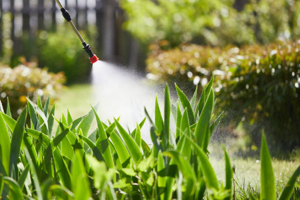 Tamper-Resistant Bait Stations for Rodents in Bay Pines