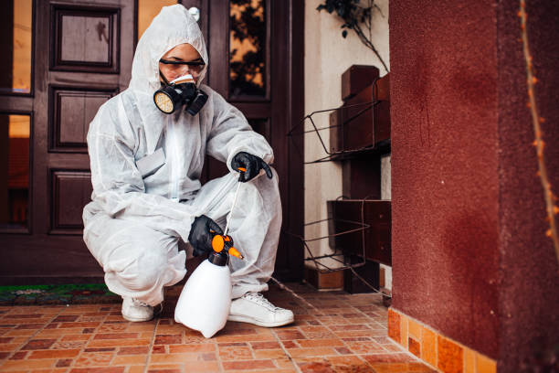 Attic and Crawl Space Rodent Treatment in Bay Pines